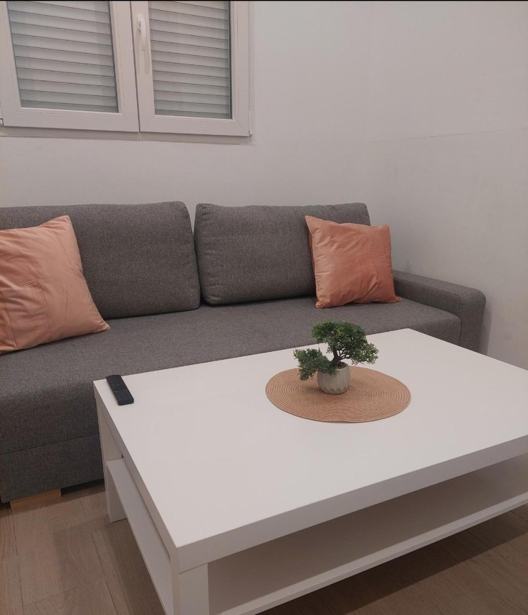 Cactus22 Apartment อาลิกันเต ภายนอก รูปภาพ